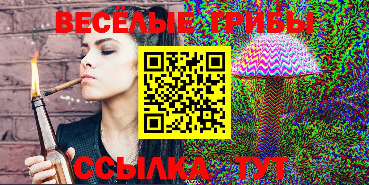 Алексеевка  купить закладку  Псилоцибиновые грибы Magic Shrooms  Вход с VPN  Галлюциногенные грибы Cubensis 