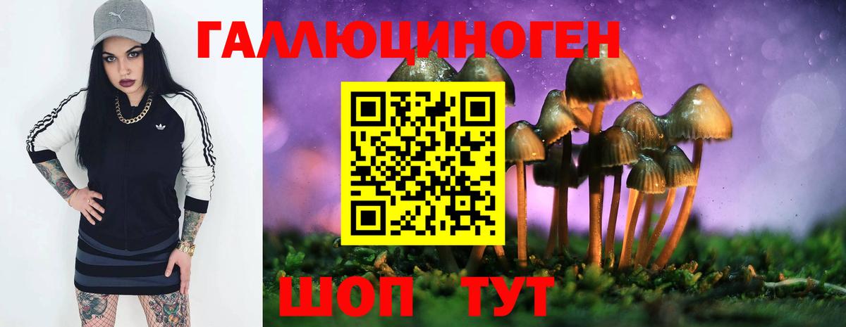 Галлюциногенные грибы мухоморы Алексеевка